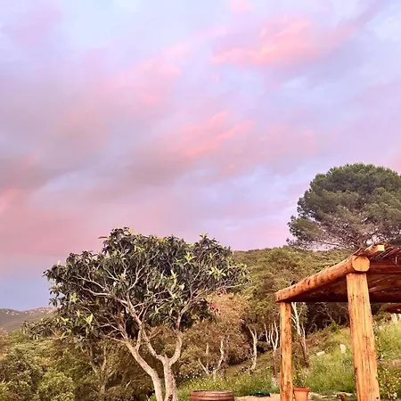 Tradition Corse & Modernite I Caseddi Di Barabe * Granace