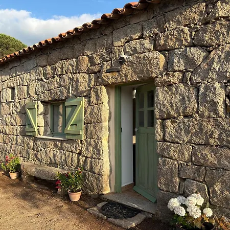 Tradition Corse & Modernite I Caseddi Di Barabe *