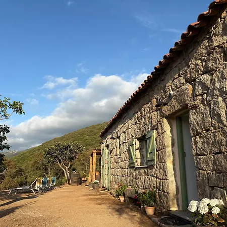 Tradition Corse & Modernite I Caseddi Di Barabe Granace