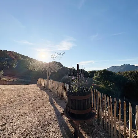 Tatil Evi Tradition Corse & Modernite I Caseddi Di Barabe Granace