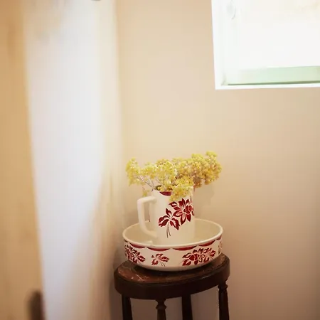 Tradition Corse & Modernite I Caseddi Di Barabe