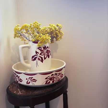 Tradition Corse & Modernite I Caseddi Di Barabe Tatil Evi *