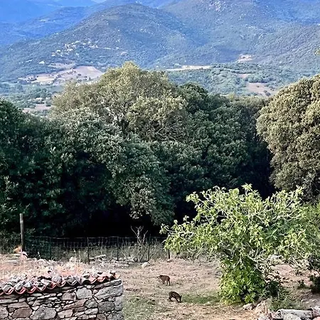 Tradition Corse & Modernite I Caseddi Di Barabe Feriehus Granace