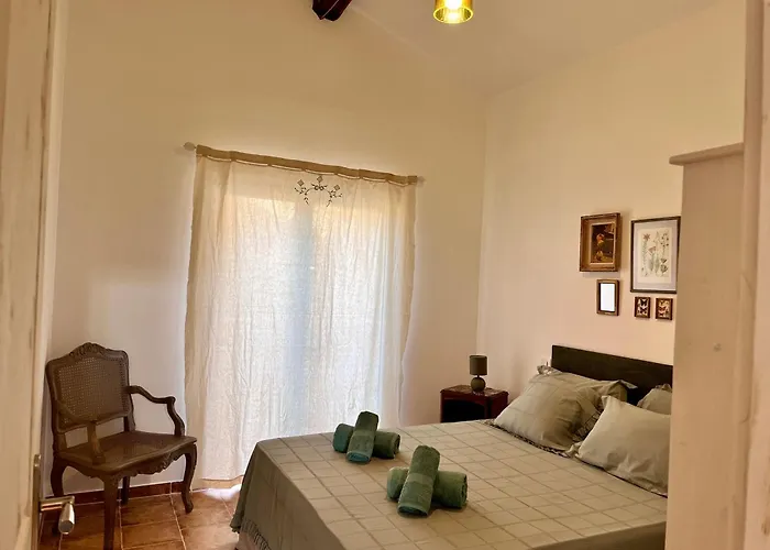Tradition Corse & Modernite I Caseddi Di Barabe بيت للعطل Granace