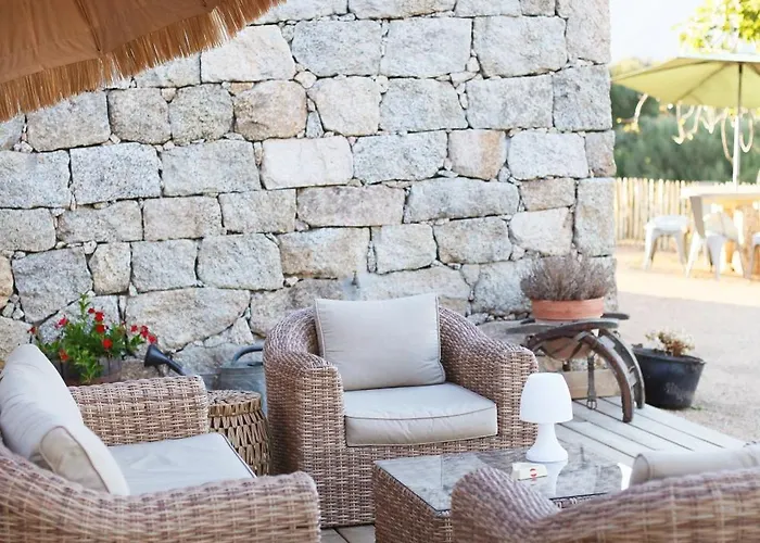 Tradition Corse & Modernite I Caseddi Di Barabe Granace