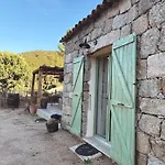 Tradition Corse & Modernite I Caseddi Di Barabe בית נופש Granace