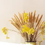 בית נופש Tradition Corse & Modernite I Caseddi Di Barabe