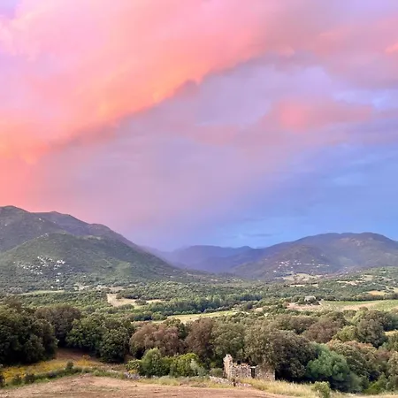 Tradition Corse & Modernite I Caseddi Di Barabe Holiday home Granace