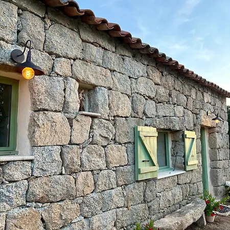 Tradition Corse & Modernite I Caseddi Di Barabe