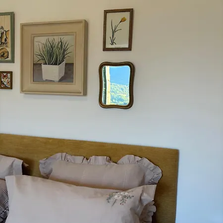 Tradition Corse & Modernite I Caseddi Di Barabe Granace