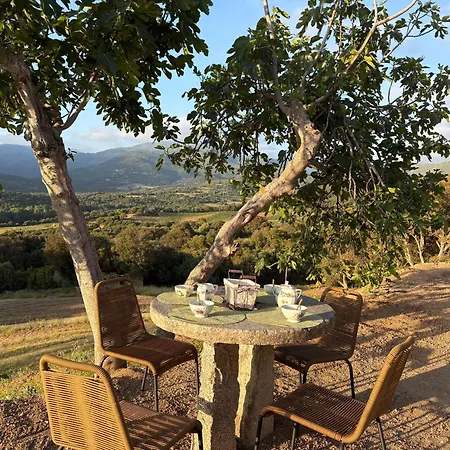 Tradition Corse & Modernite I Caseddi Di Barabe Holiday home *