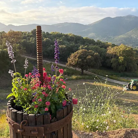 Ferienhaus Tradition Corse Et Modernite Bergerie Anto'micheli *