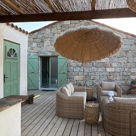 Tradition Corse Et Modernite Bergerie Anto'micheli