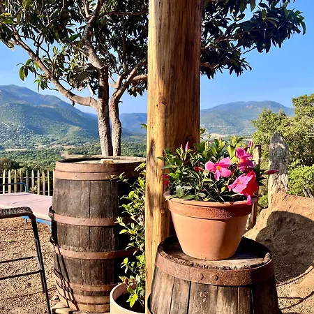 Holiday home Tradition Corse & Modernite I Caseddi Di Barabe *