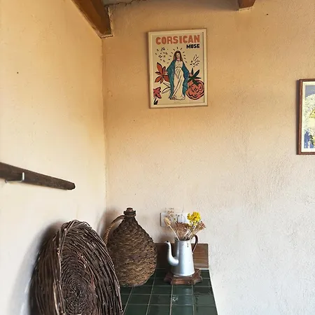 ì Caseddi Dì Barabè Tradition Corse&modernité Granace