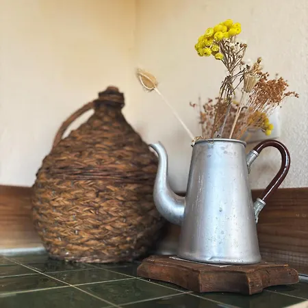 ì Caseddi Dì Barabè Tradition Corse&modernité Сasa de vacaciones Granace