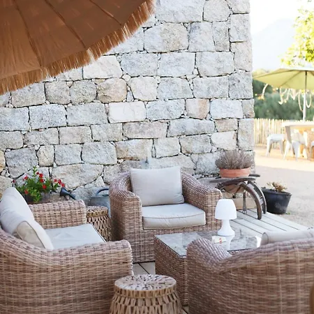 Tradition Corse & Modernite I Caseddi Di Barabe Granace