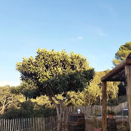 Tradition Corse & Modernite I Caseddi Di Barabe Holiday home *