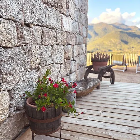 Tradition Corse & Modernite I Caseddi Di Barabe