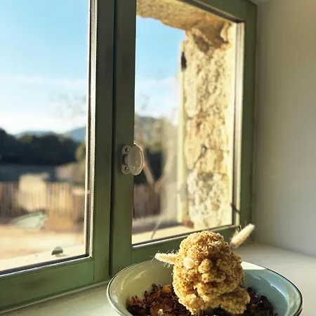 Tradition Corse & Modernite I Caseddi Di Barabe Granace