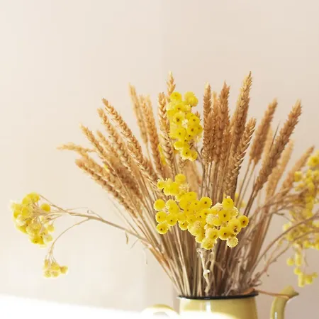 Holiday home Tradition Corse & Modernite I Caseddi Di Barabe