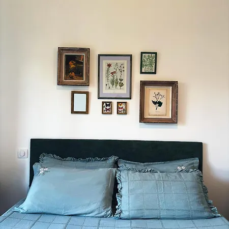 Tradition Corse & Modernite I Caseddi Di Barabe بيت للعطل