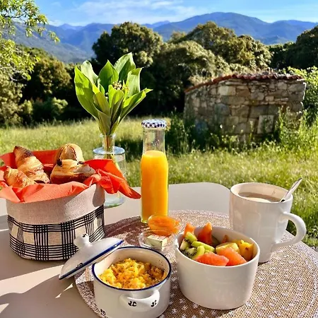 Holiday home Tradition Corse & Modernite I Caseddi Di Barabe