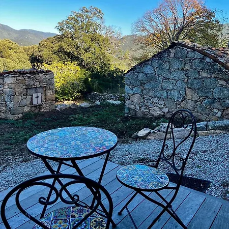 Tradition Corse & Modernite I Caseddi Di Barabe Granace