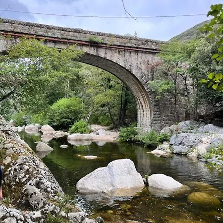 Tradition Corse & Modernite I Caseddi Di Barabe *