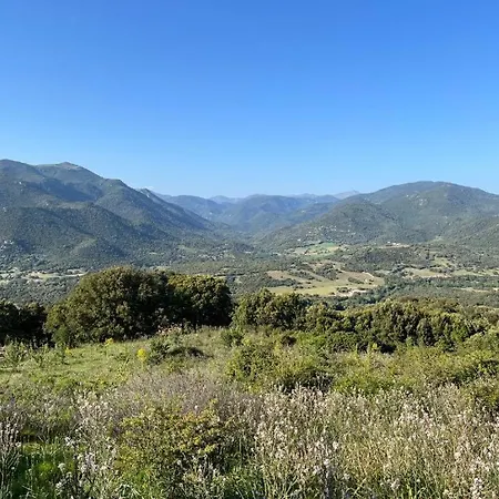 Tradition Corse & Modernite I Caseddi Di Barabe بيت للعطل Granace