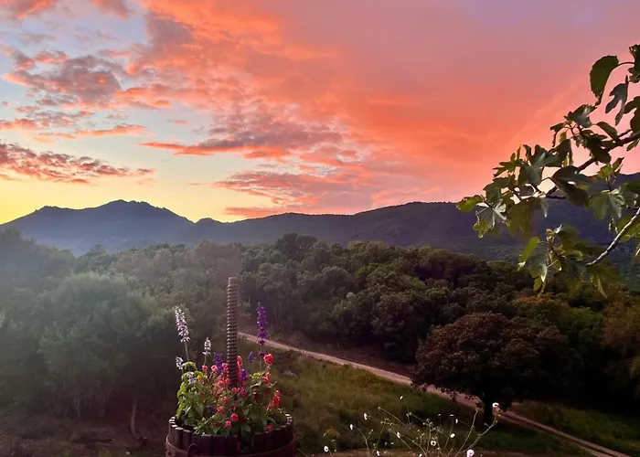 Tradition Corse & Modernite I Caseddi Di Barabe Tatil Evi Granace