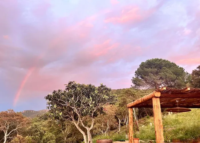 Tradition Corse & Modernite I Caseddi Di Barabe * Granace