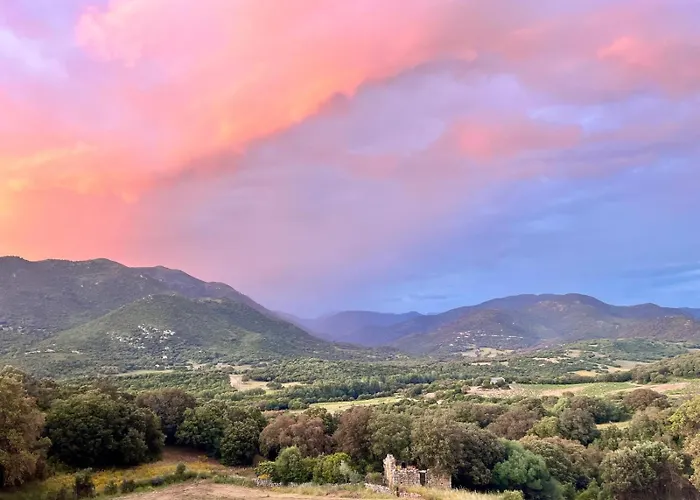 Tradition Corse & Modernite I Caseddi Di Barabe Tatil Evi Granace