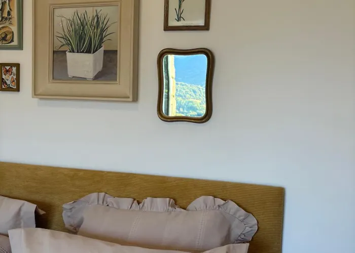 Tradition Corse & Modernite I Caseddi Di Barabe Granace