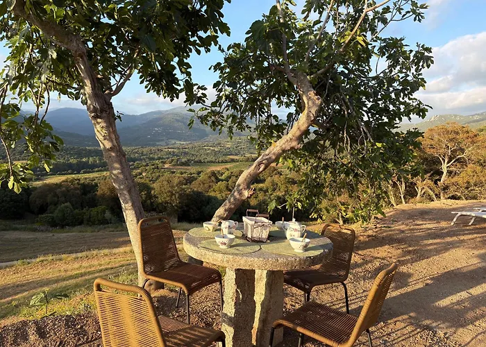 Tradition Corse & Modernite I Caseddi Di Barabe Tatil Evi *