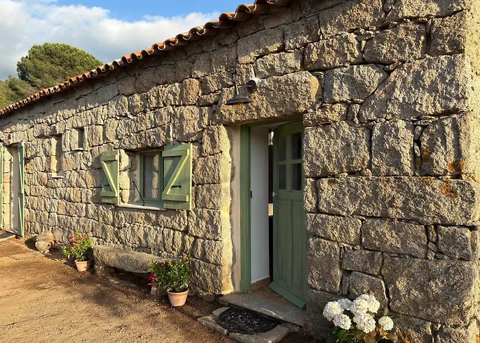 Tradition Corse & Modernite I Caseddi Di Barabe *