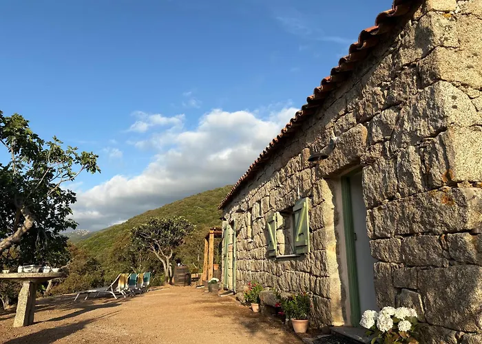 Tradition Corse & Modernite I Caseddi Di Barabe Granace