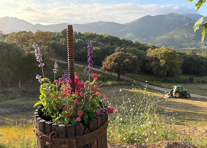 Tatil Evi Tradition Corse & Modernite I Caseddi Di Barabe *