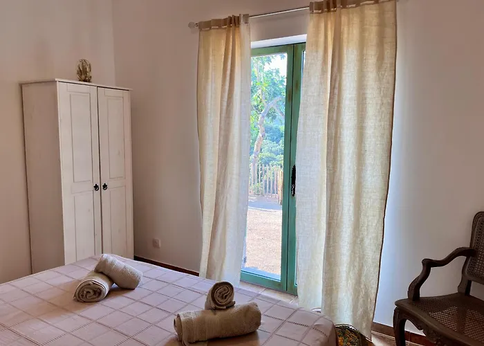 Tradition Corse & Modernite I Caseddi Di Barabe Tatil Evi