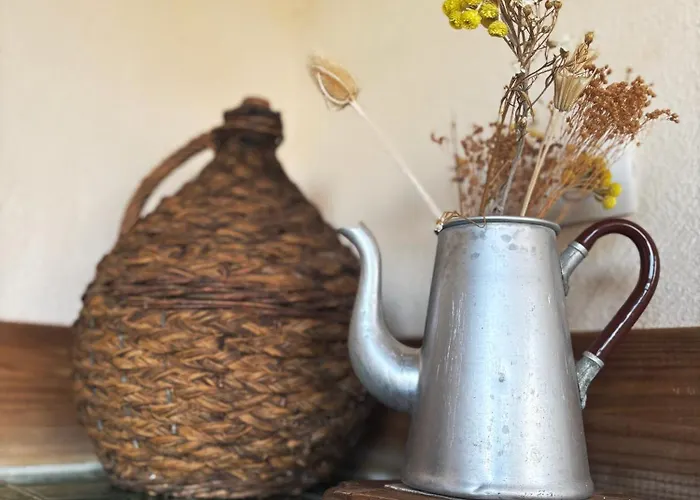 Tradition Corse & Modernite I Caseddi Di Barabe Tatil Evi Granace