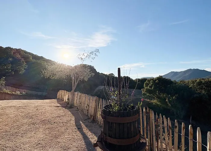 Casa vacanze ì Caseddi Dì Barabè Tradition Corse&modernité Granace