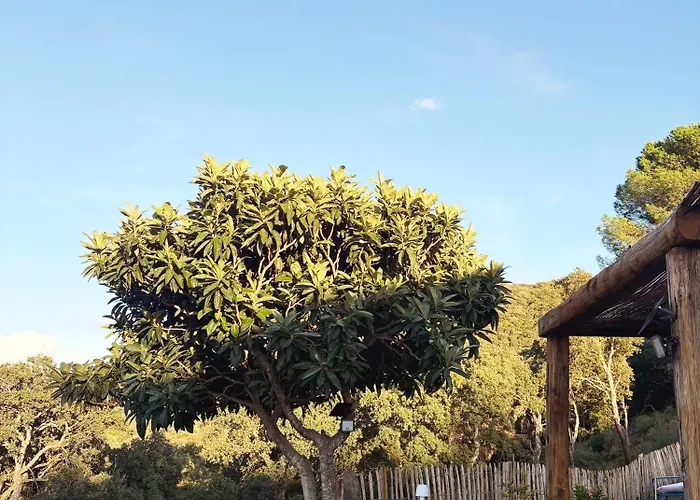 Tradition Corse & Modernite I Caseddi Di Barabe Tatil Evi *