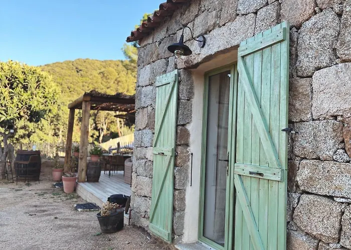 Tradition Corse & Modernite I Caseddi Di Barabe Tatil Evi Granace