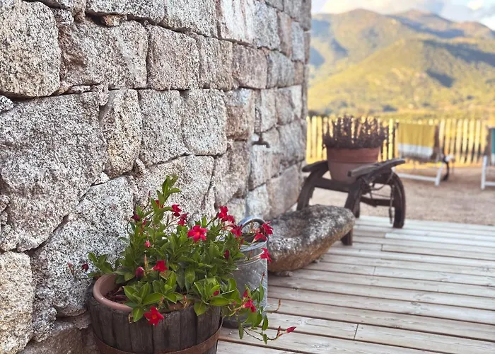 Tradition Corse & Modernite I Caseddi Di Barabe