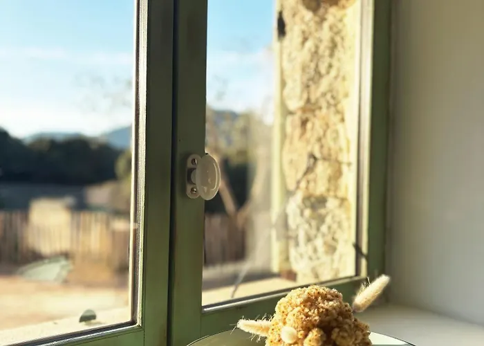 Tradition Corse & Modernite I Caseddi Di Barabe Granace