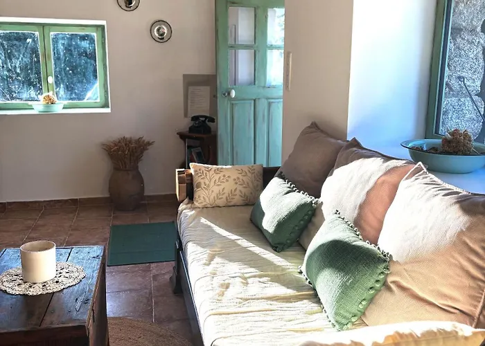 Tradition Corse & Modernite I Caseddi Di Barabe Tatil Evi Granace