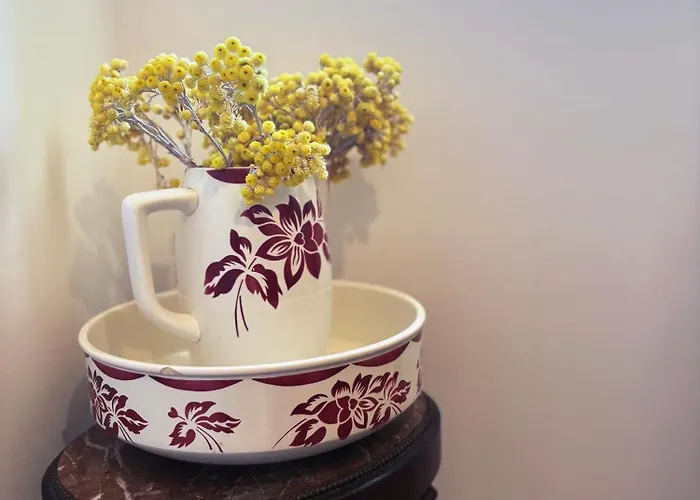 Tradition Corse & Modernite I Caseddi Di Barabe Tatil Evi *