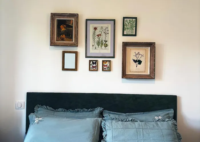 Tradition Corse & Modernite I Caseddi Di Barabe Tatil Evi