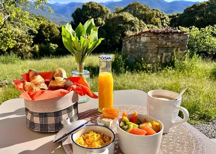 Tatil Evi Tradition Corse & Modernite I Caseddi Di Barabe