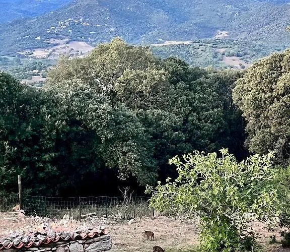 Tradition Corse & Modernite I Caseddi Di Barabe Tatil Evi Granace